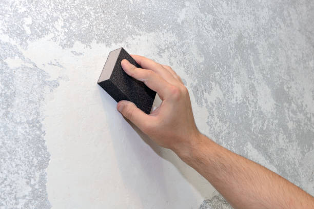 Best Forensic Mold Investigation  in Byers, CO