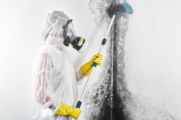 Best Crawl Space Mold Remediation  in Byers, CO