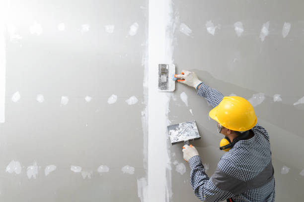 Best Commercial Mold Inspection  in Byers, CO