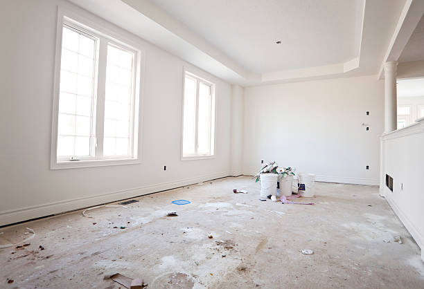 Professional Mold Removal in Byers, CO