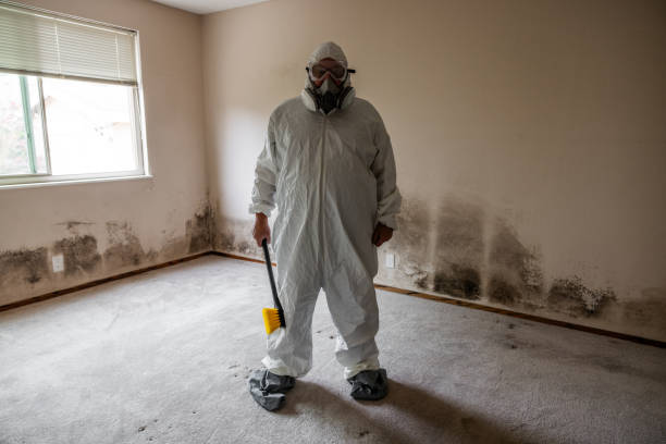 Best Mold Remediation for Vacation Homes  in Byers, CO