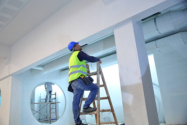 Best Basement Mold Removal  in Byers, CO