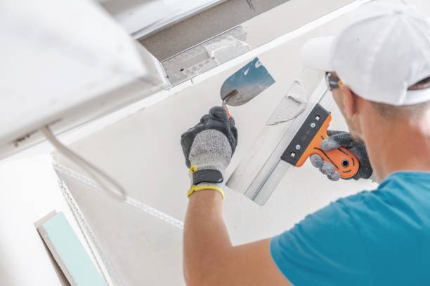  Byers, CO Mold Removal Pros